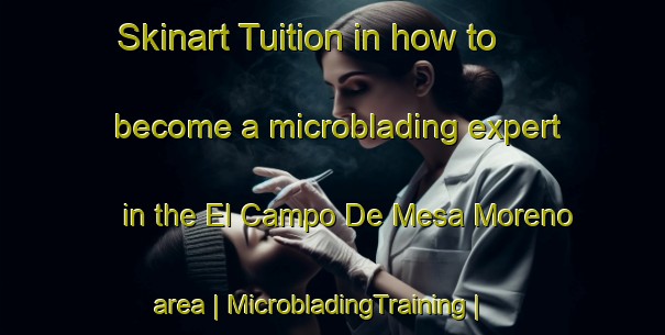 Skinart Tuition in how to become a microblading expert in the El Campo De Mesa Moreno area | MicrobladingTraining | MicrobladingClasses | SkinartTraining-Mexico